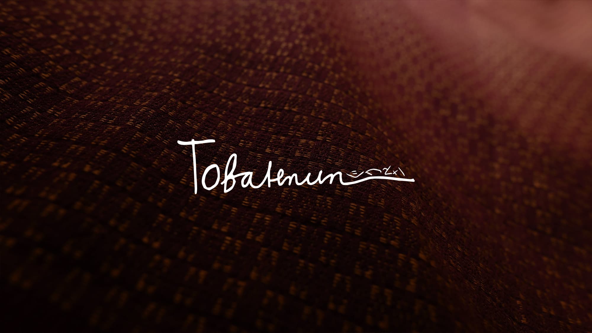 02-intro-logo.jpg